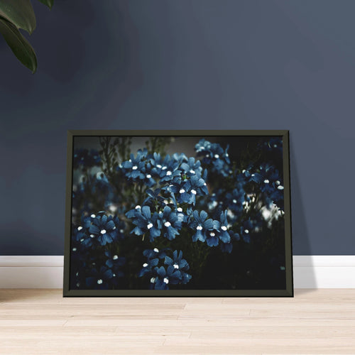 dc4b7c66-5708-4cd8-924d-484647c32727