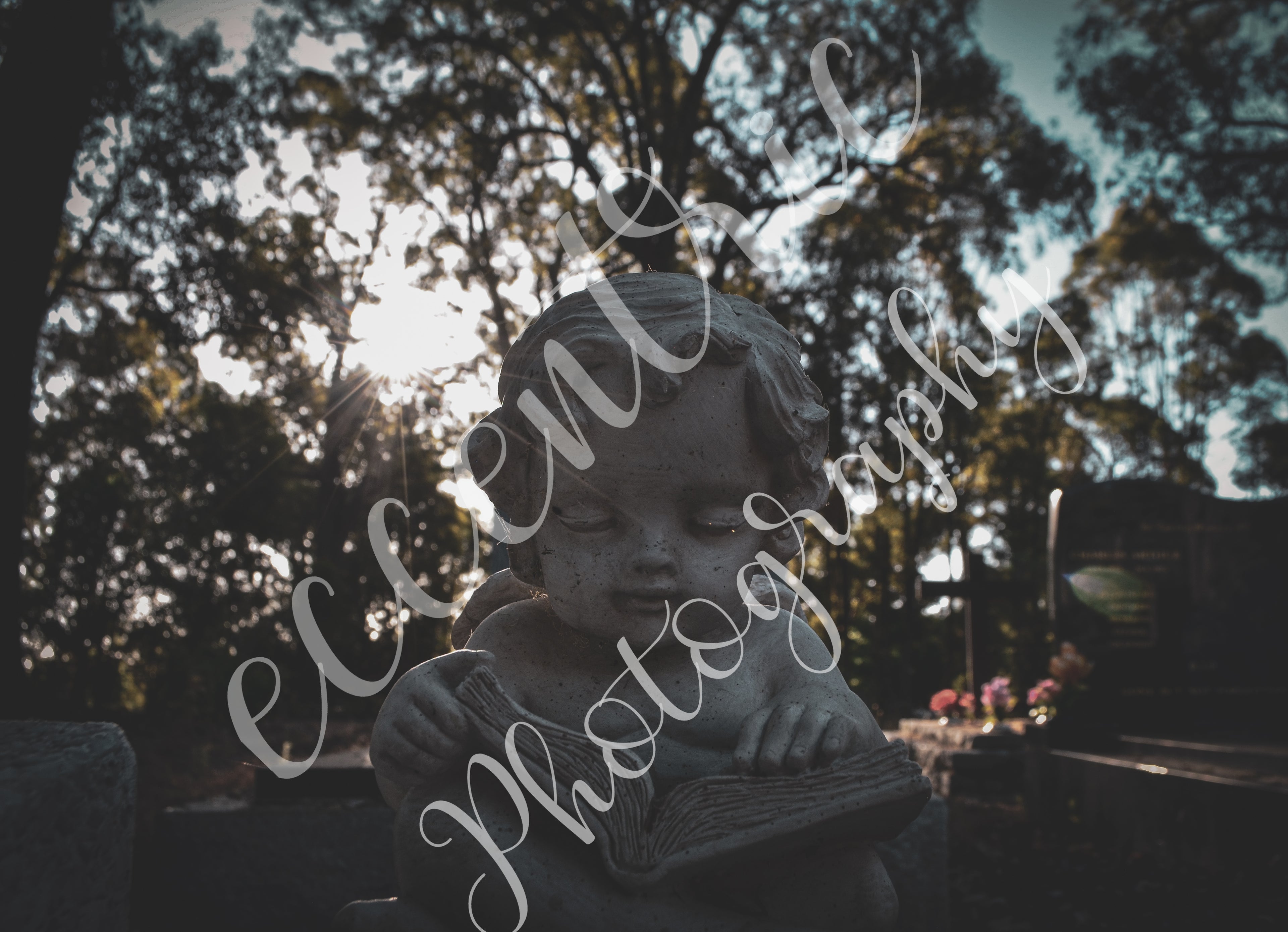 Quiet Moments- Digital File