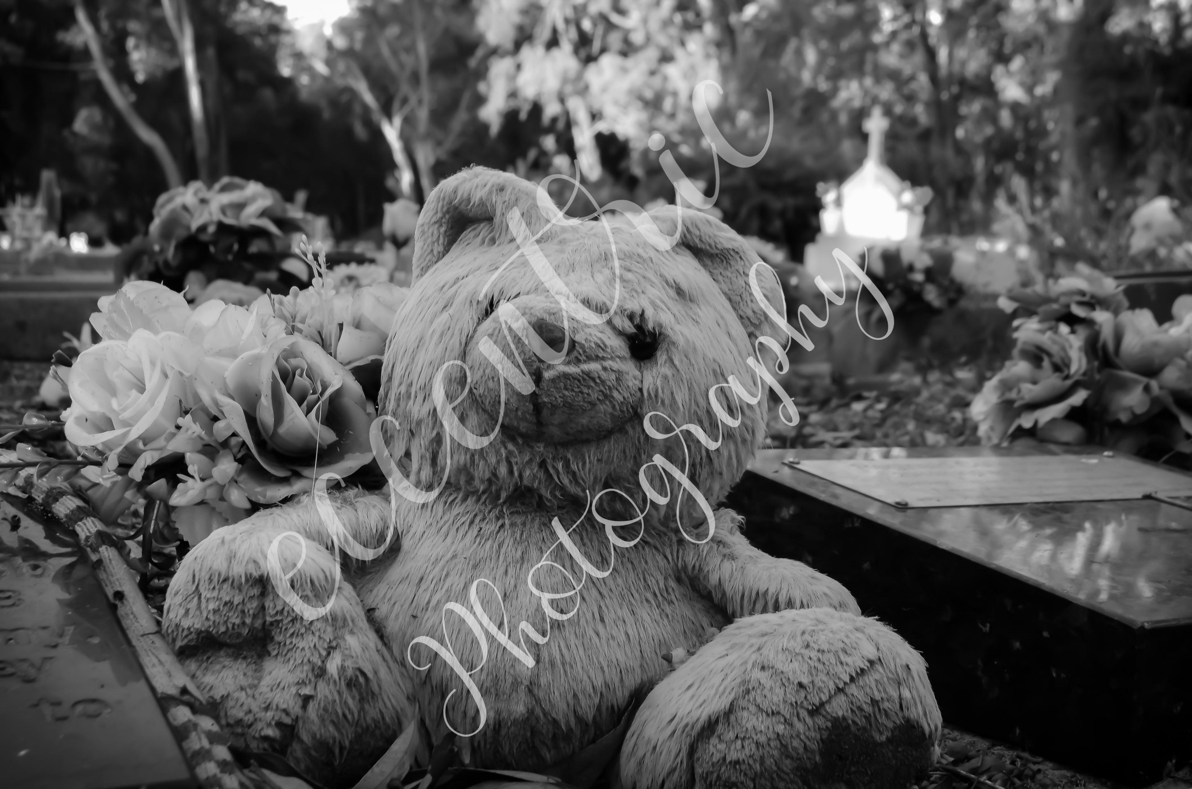 Soft Things in Hard Places - Digital File